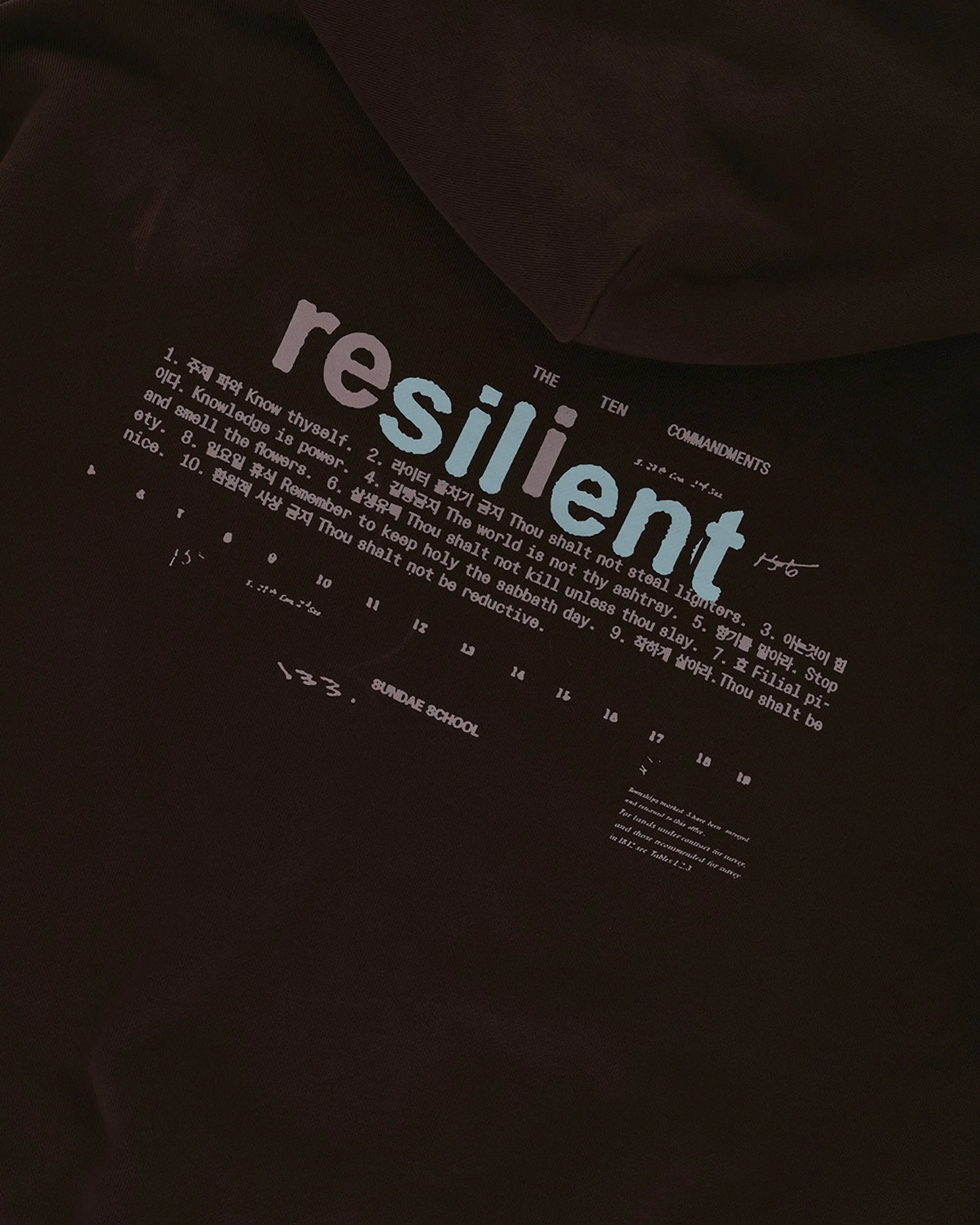 BROWN RESILIENT HOODIE