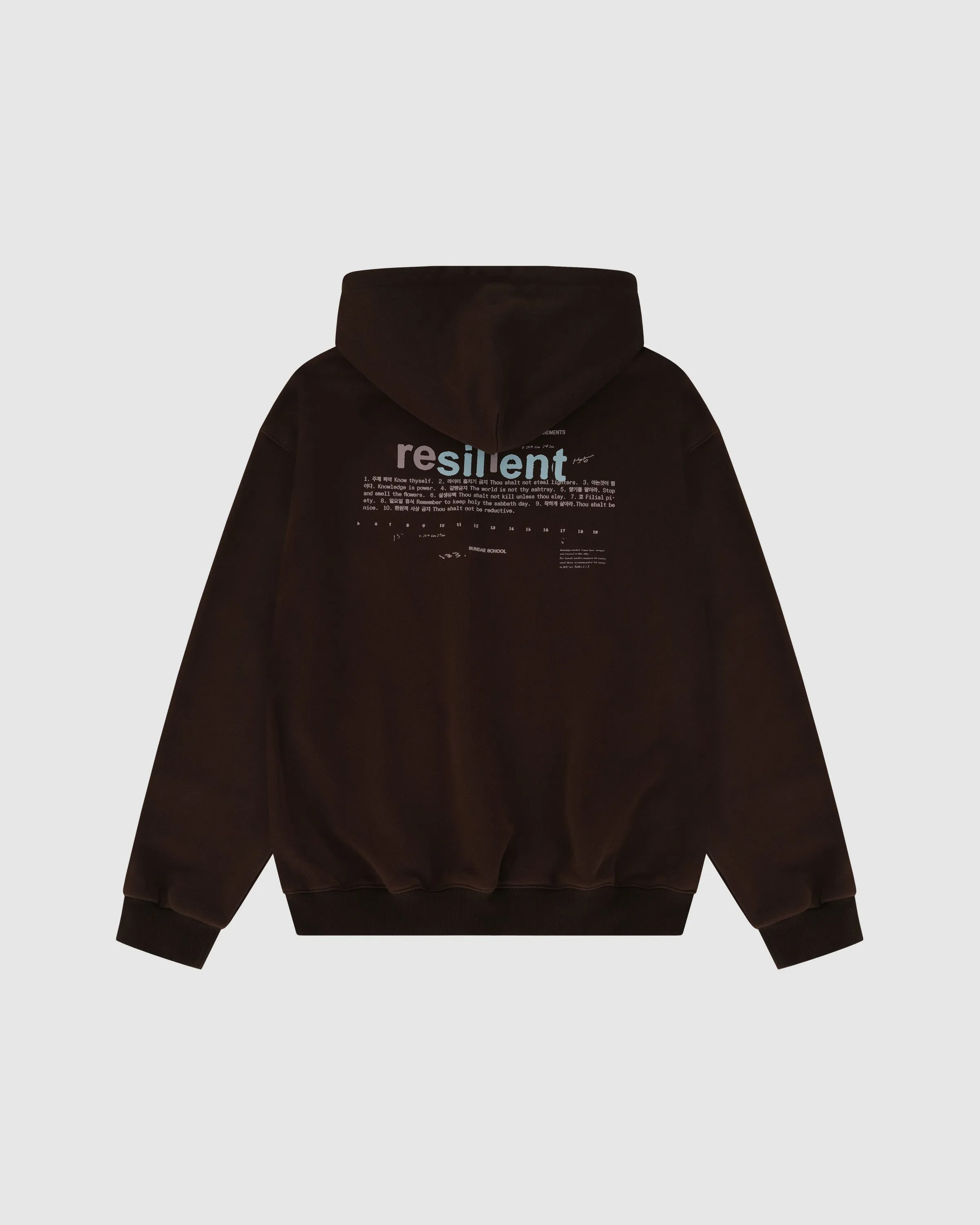 BROWN RESILIENT HOODIE