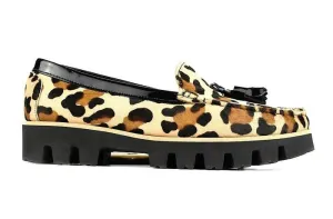 Cavallino leopard