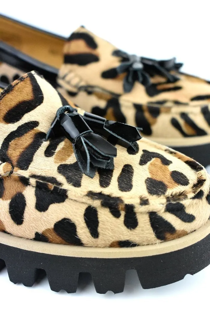 Cavallino leopard