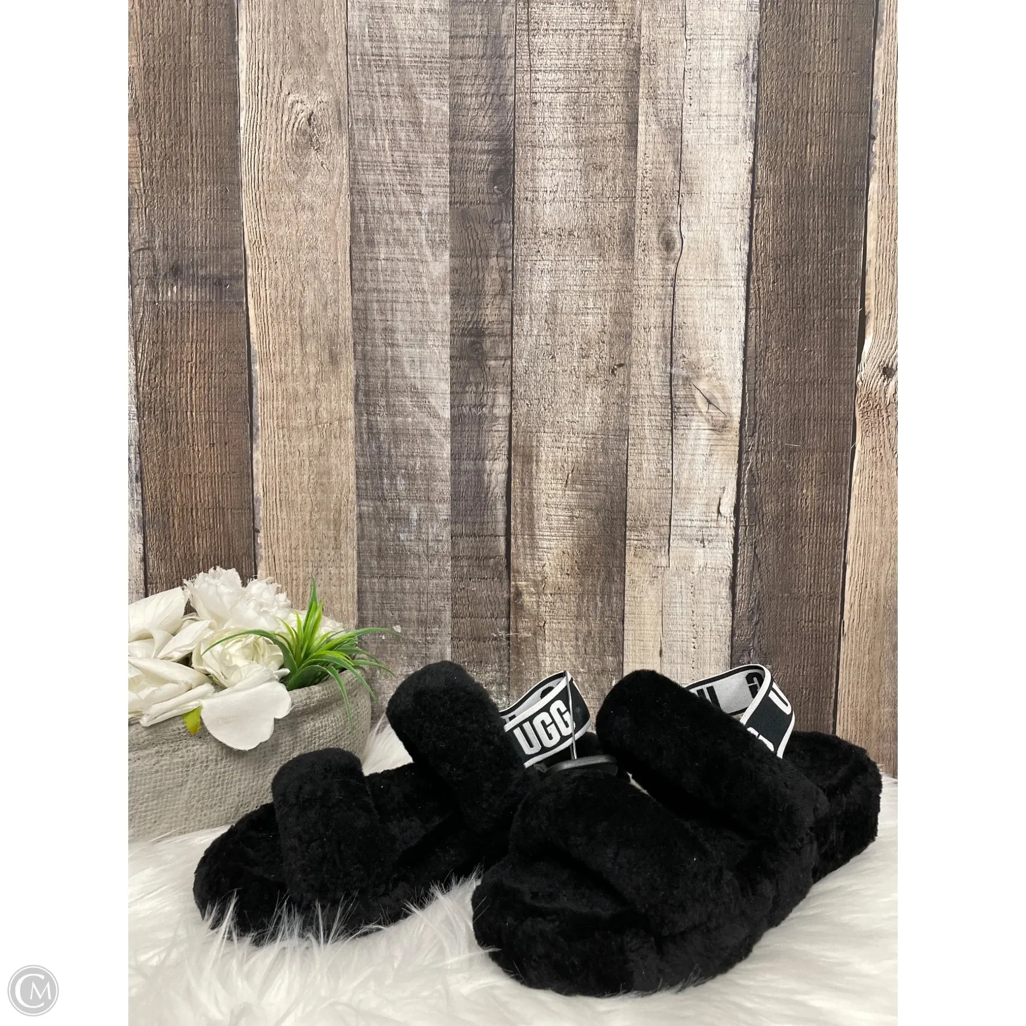 Slippers Designer By Ugg In Black