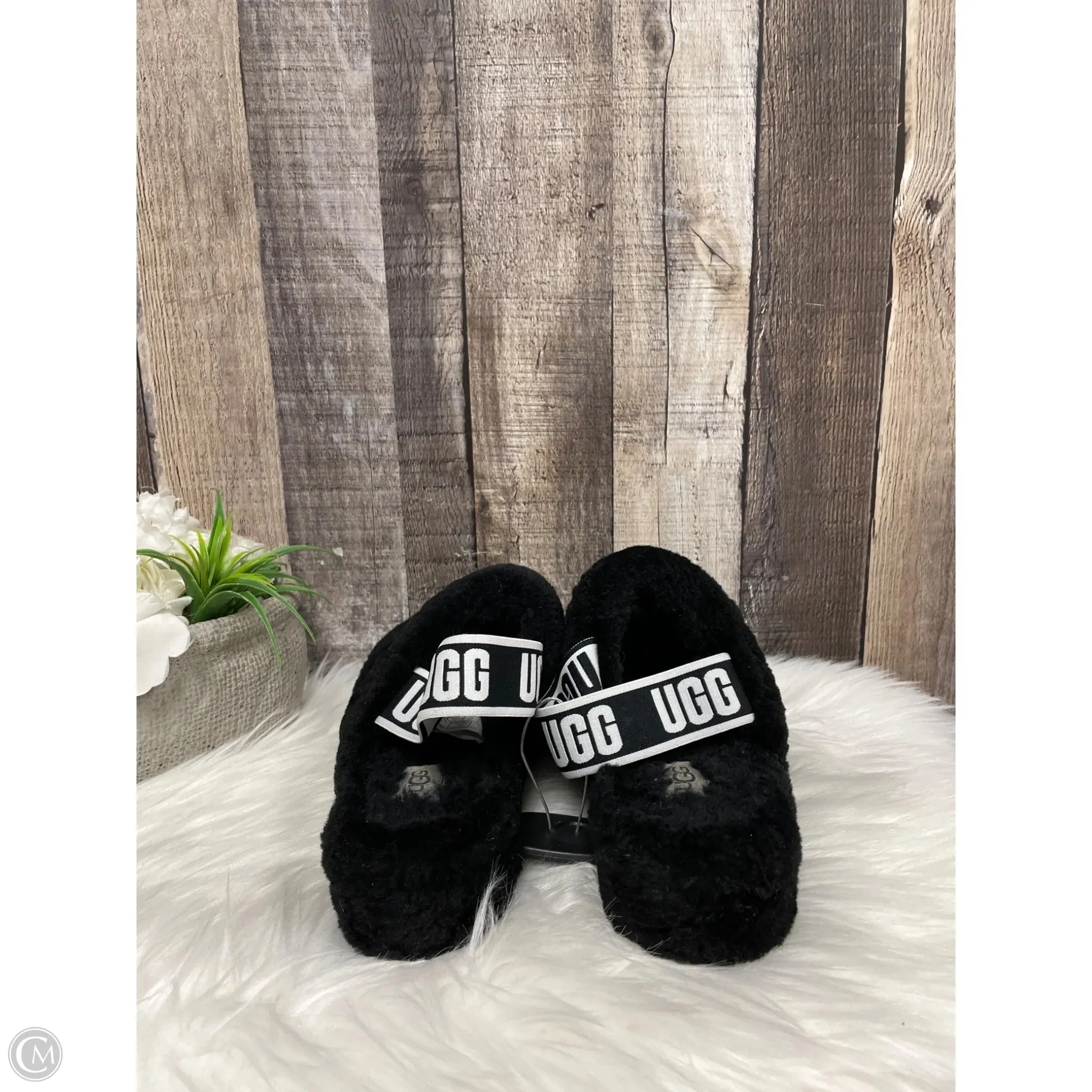 Slippers Designer By Ugg In Black