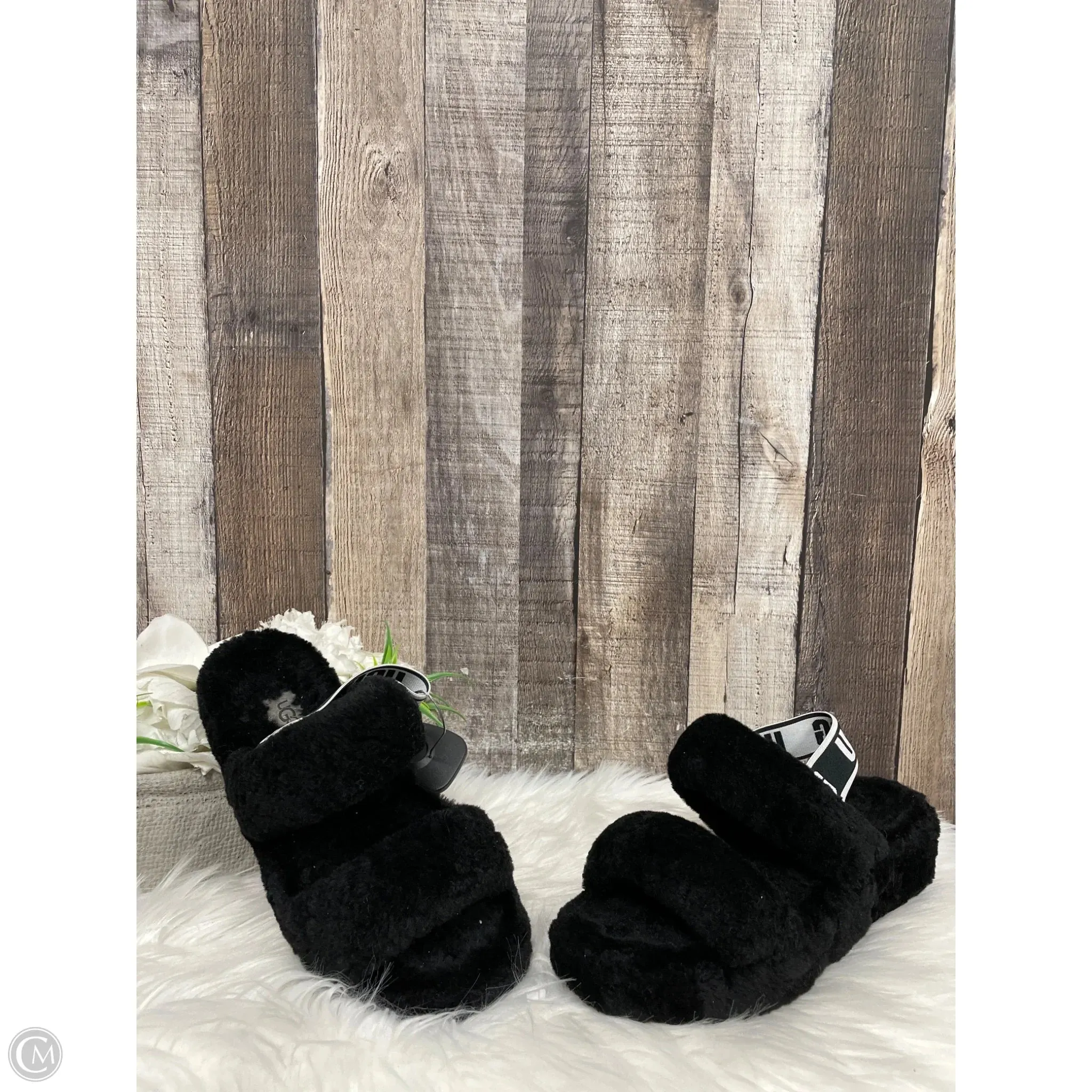 Slippers Designer By Ugg In Black